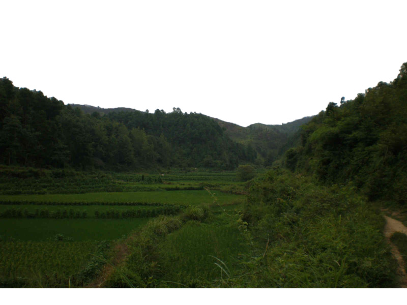 林间农田高清PNG透明背景摄影风景设计素材免费下载