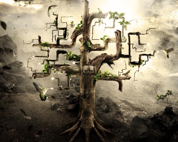 免费下载高清PNG透明背景卡通手绘后期合成植物窗户设计素材