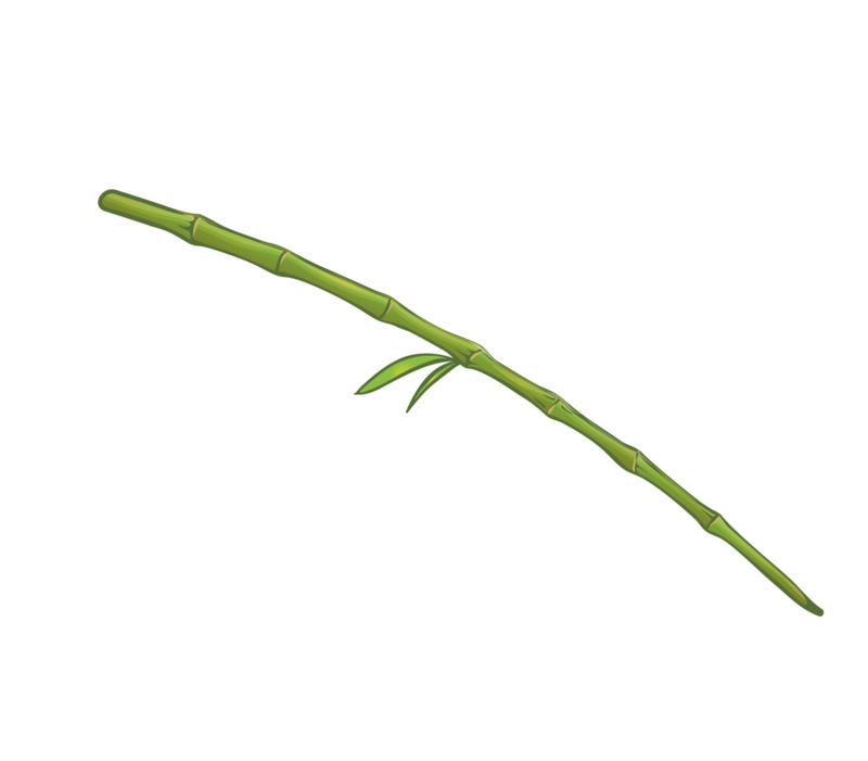 手绘竹竿高清PNG透明动植物植物设计素材免费下载
