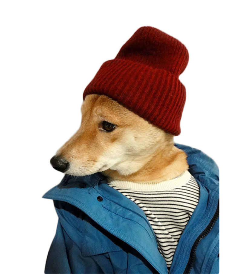 免抠高清PNG透明柴犬动植物动物设计素材免费下载