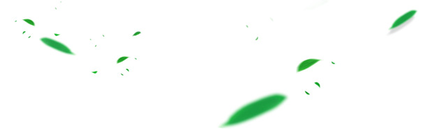 唯美简约树叶飘落高清PNG透明漂浮叶子设计素材免费下载