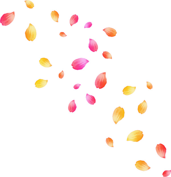落花漂浮物与叶子高清PNG透明设计素材免费下载