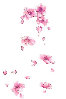 手绘花朵水彩画高清PNG透明漂浮花瓣设计素材免费下载