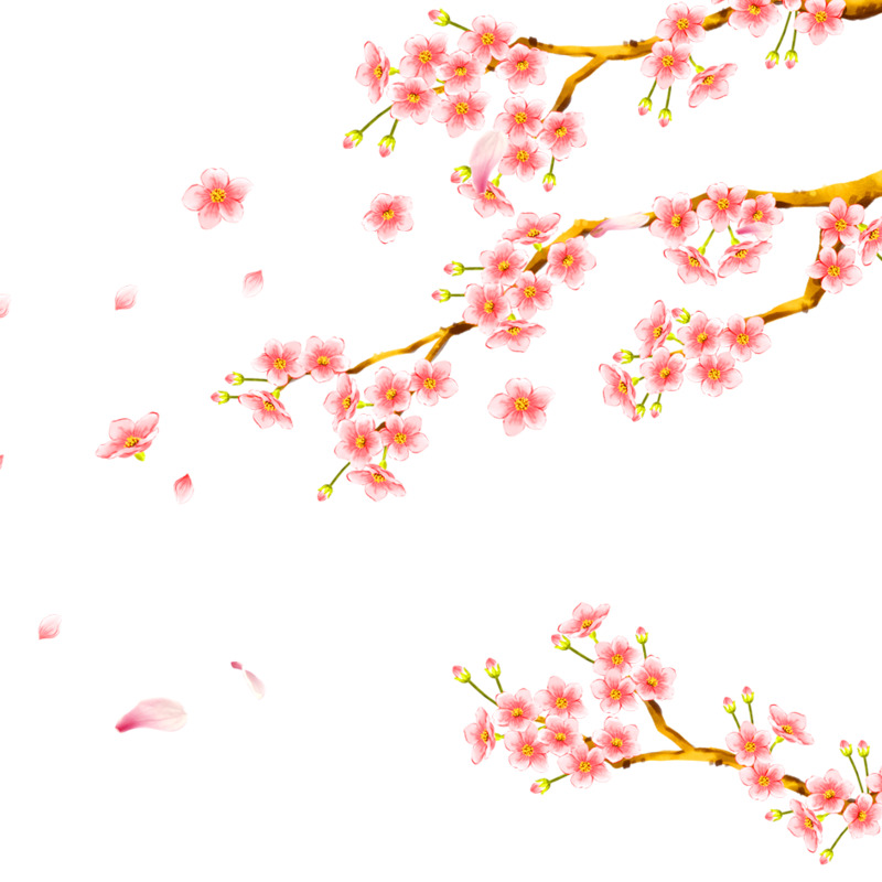 唯美鲜花高清PNG透明漂浮花瓣设计素材免费下载