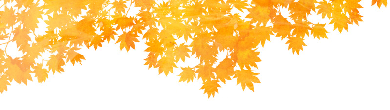 秋天黄色枫叶高清PNG透明漂浮元素设计素材免费下载