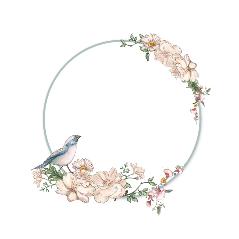 水彩彩色鲜花花卉边框装饰高清PNG透明素材免费下载