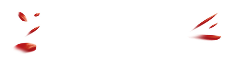 红色漂浮花瓣高清PNG透明设计素材免费下载