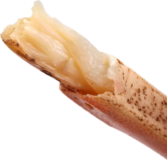 大闸蟹蟹腿肉高清PNG透明装饰素材免费下载