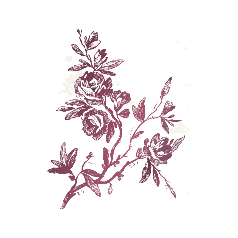 复古花纹与植物高清PNG透明装饰素材免费下载