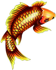金色鲤鱼金秋高清PNG透明装饰动物设计素材免费下载