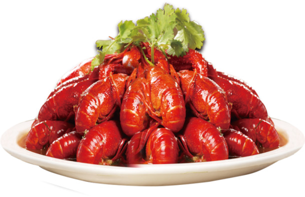 龙虾高清PNG透明装饰元素动物设计素材免费下载