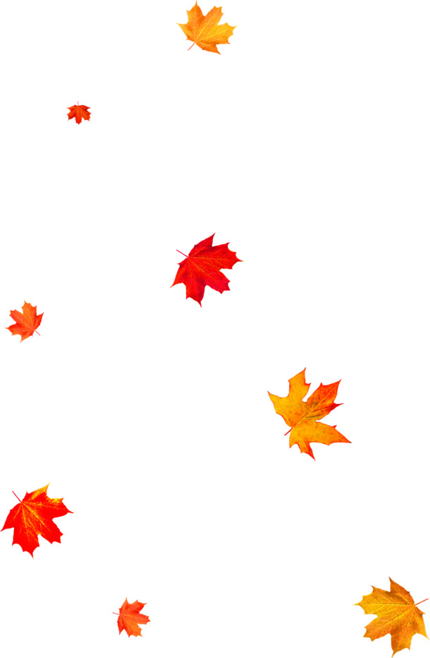 冬季枫叶飘飘圣诞节高清PNG透明节日设计素材免费下载