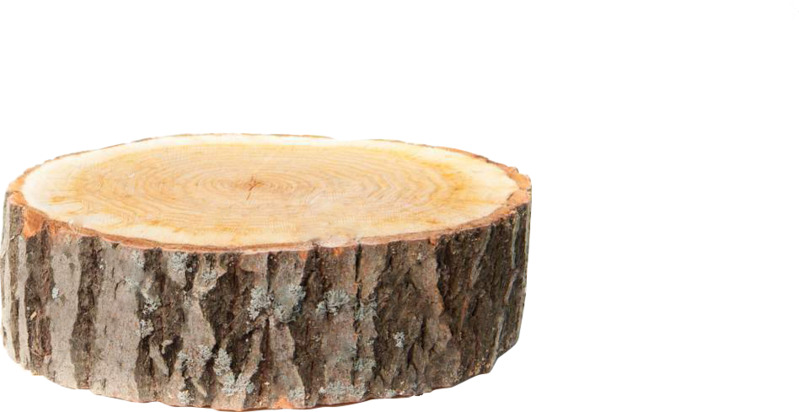 高清PNG透明图片设计素材，木墩动植物元素免费下载