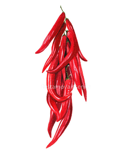 红辣椒高清PNG透明动植物元素设计素材免费下载