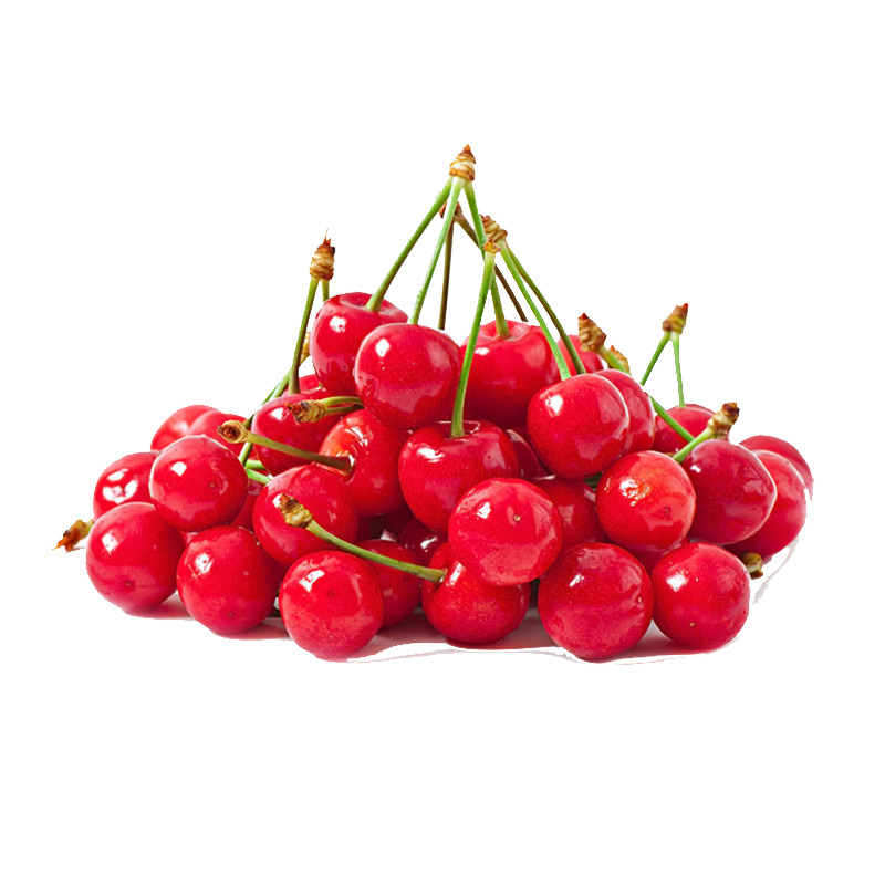 樱桃高清PNG透明动植物植物设计素材免费下载