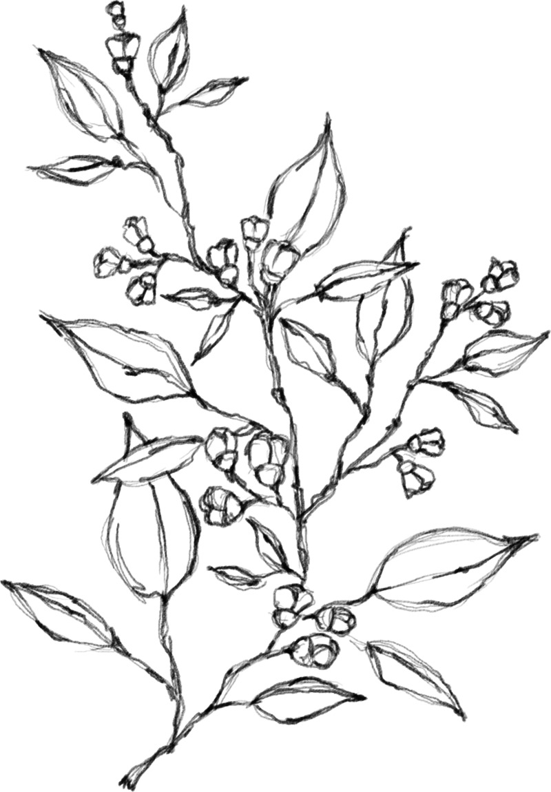 水墨植物元素06高清PNG透明动植物设计素材免费下载