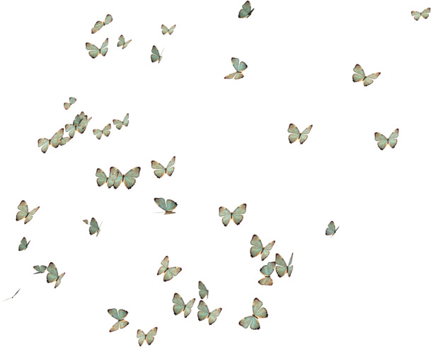 蝴蝶高清PNG透明漂浮元素设计素材免费下载