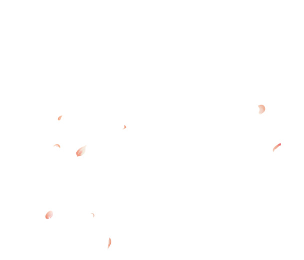 粉色小花朵飘散高清PNG透明漂浮花瓣设计素材免费下载