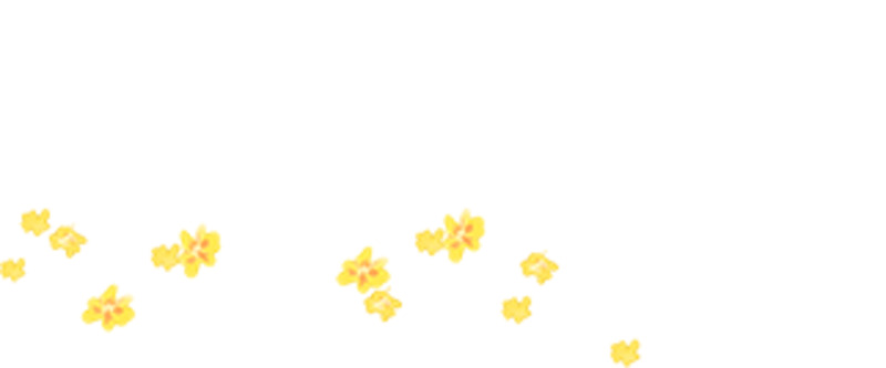 花瓣高清PNG透明漂浮元素设计素材免费下载