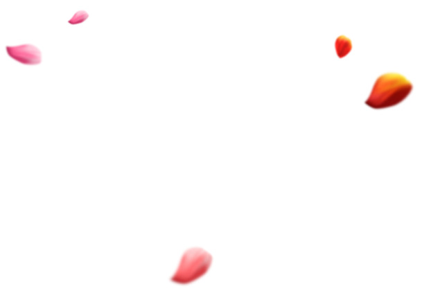 红色粉色绿色花瓣高清PNG透明漂浮元素设计素材免费下载