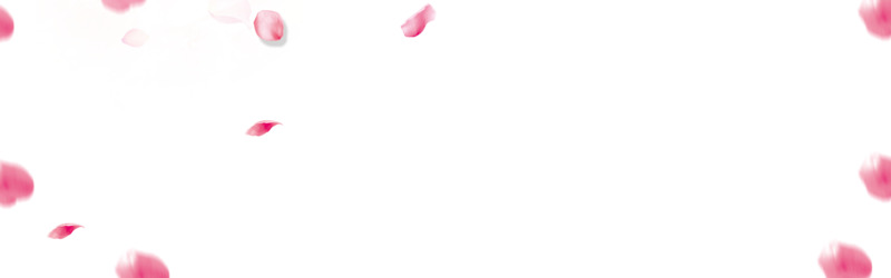 粉色手绘花瓣漂浮高清PNG透明设计素材免费下载