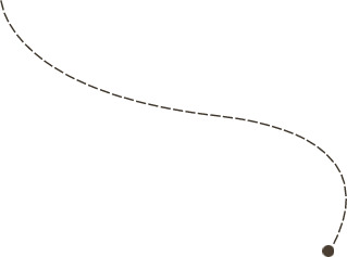 曲线植物高清PNG透明装饰元素设计素材免费下载