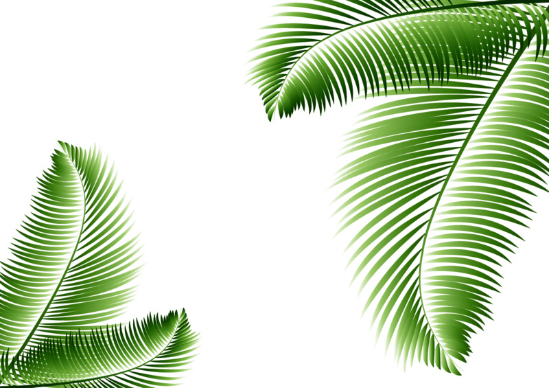 叶子底纹高清PNG透明植物装饰元素设计素材免费下载