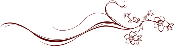 中国风花朵装饰边框高清PNG透明设计素材免费下载