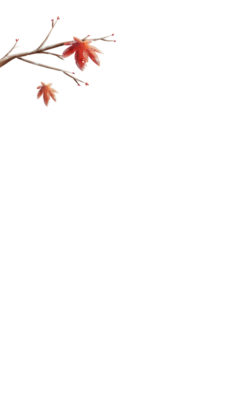 下雪了枫叶红了高清PNG透明植物装饰素材免费下载