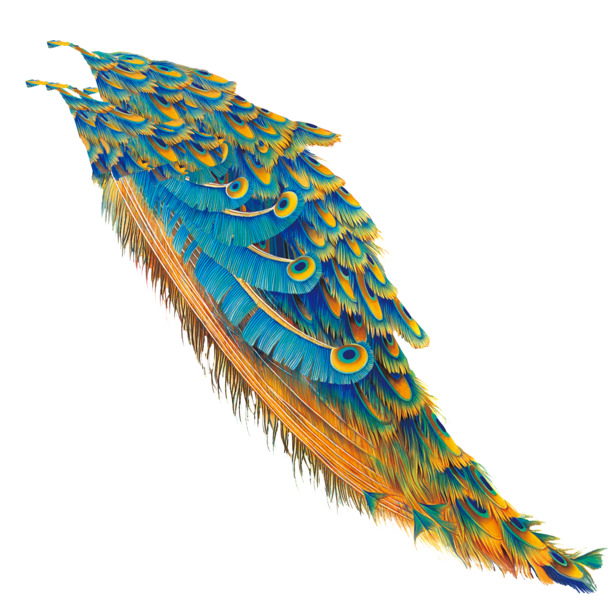 手绘动物图案高清PNG透明图片装饰元素设计素材免费下载