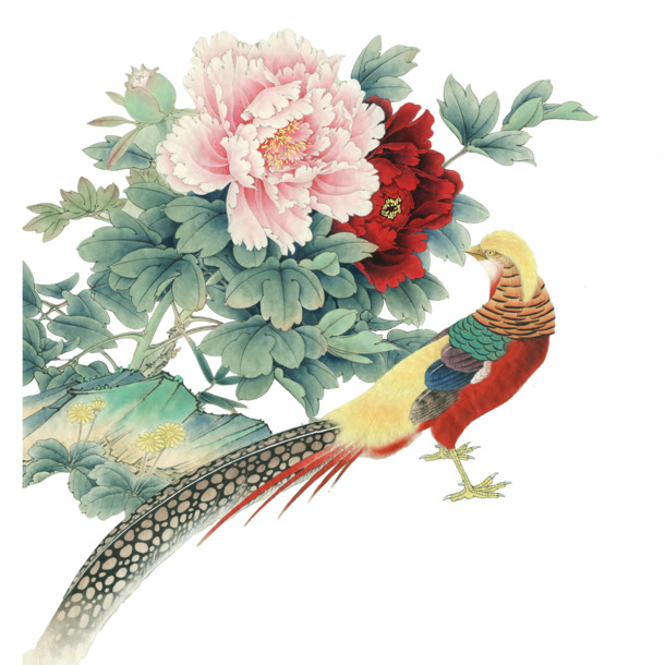 花鸟图高清PNG透明动物装饰元素设计素材免费下载