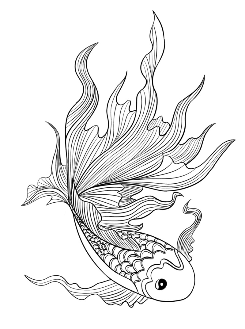 手绘鲤鱼矢量素材图线稿 高清PNG透明卡通设计素材免费下载