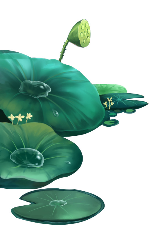 手绘夏日荷叶中国风插画高清PNG透明设计素材免费下载