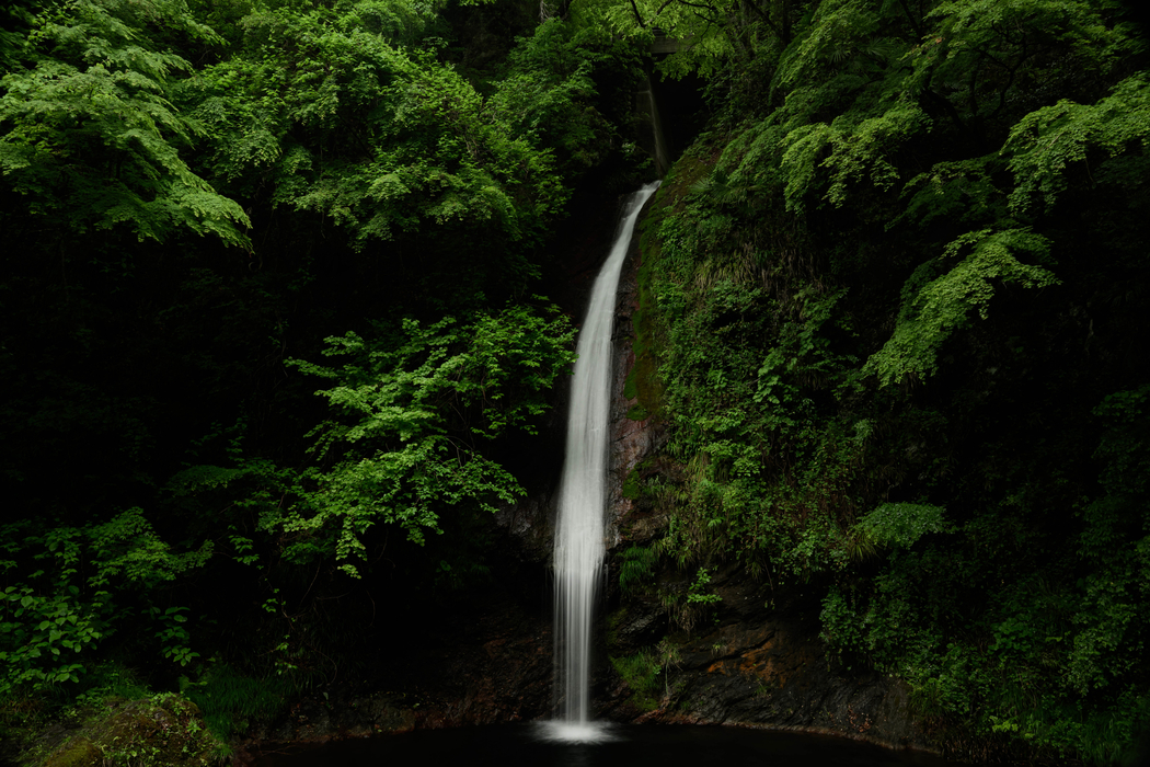 4K高清森林小溪瀑布绿色树叶护眼风景壁纸3840x2560免费下载