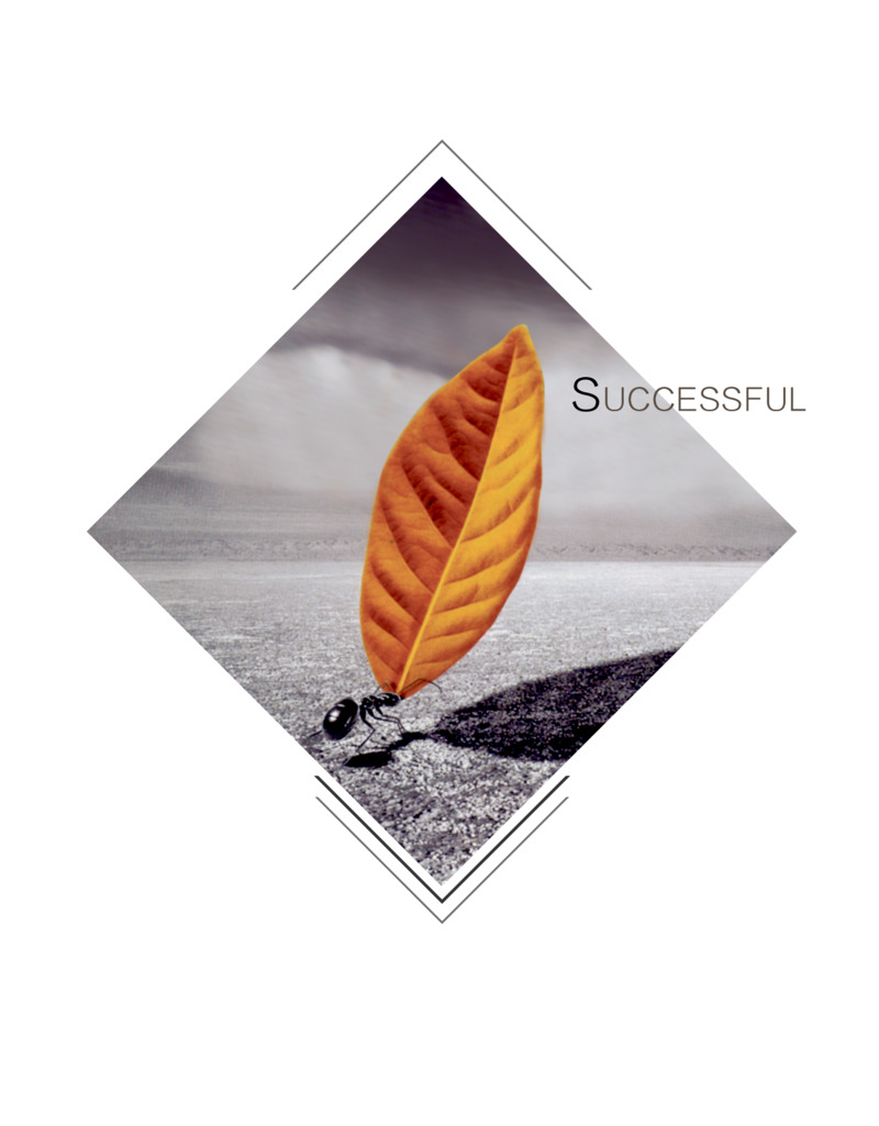 菱形创意企业文化蚂蚁图标高清PNG透明背景设计素材免费下载