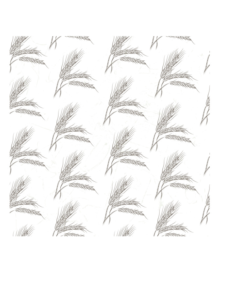 手绘大麦插画高清PNG透明背景设计素材免费下载