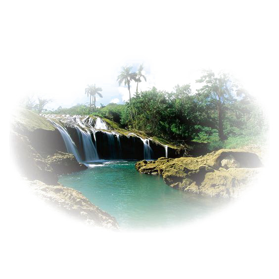 热带风景高清PNG透明背景摄影设计素材免费下载