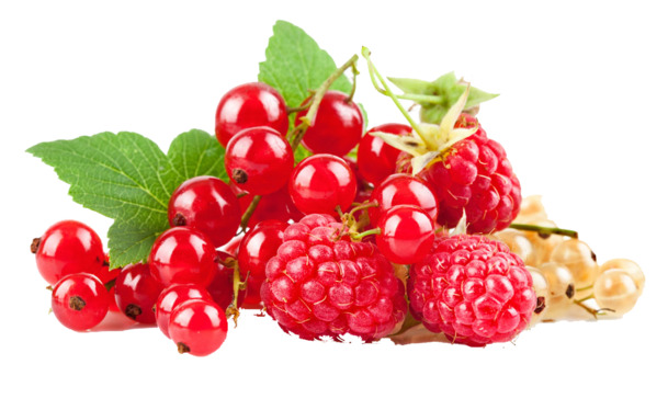 红色樱桃桑葚高清PNG透明动植物植物设计素材免费下载