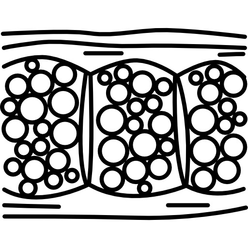 脂肪图标高清PNG透明免扣设计素材免费下载