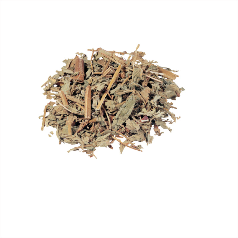 藿香高清PNG透明图片-动植物元素设计素材免费下载