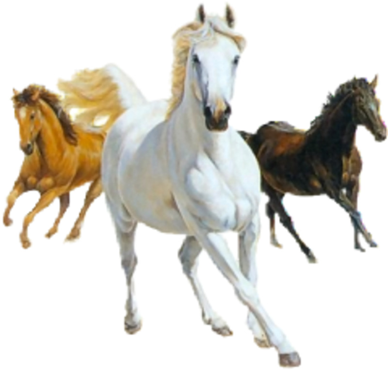 马奔腾高清PNG透明动物图片设计素材免费下载