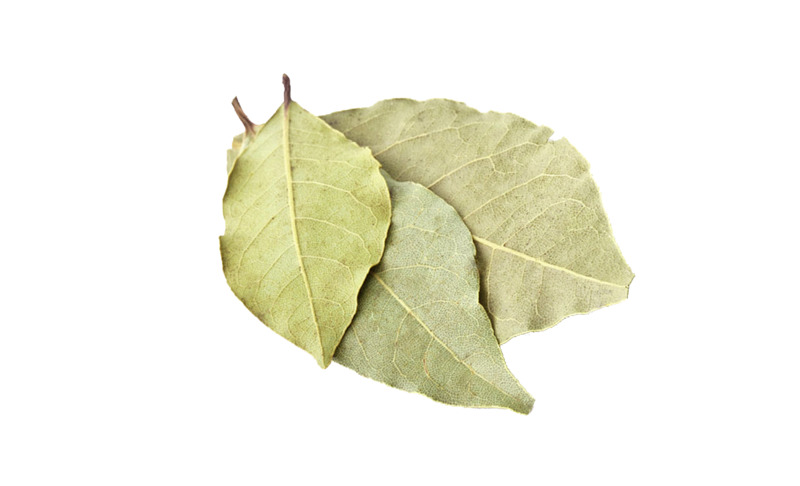 调味料香叶高清PNG透明动植物植物设计素材免费下载