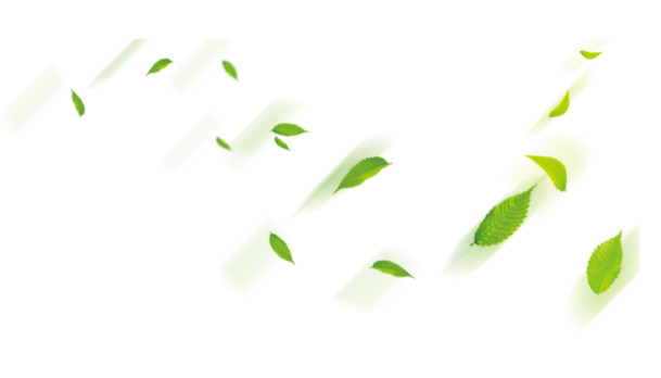 绿色清新树叶漂浮高清PNG透明设计素材免费下载