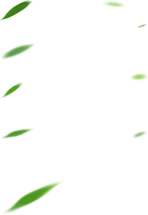 绿色树叶高清PNG透明漂浮元素设计素材免费下载