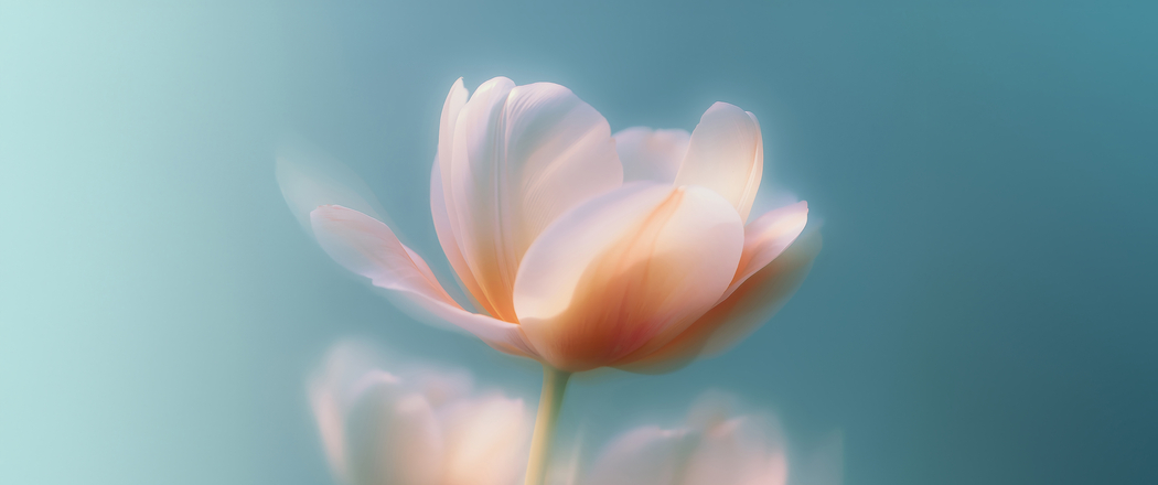 梦里花4K风景高清壁纸 3440x1440带鱼屏免费下载 梦里花4K风景高清壁纸 3440x1440带鱼屏免费下载