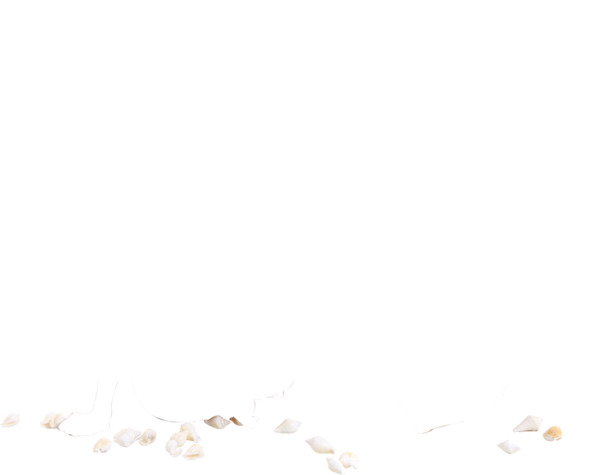 秋天花朵凋零高清PNG透明漂浮花瓣设计素材免费下载