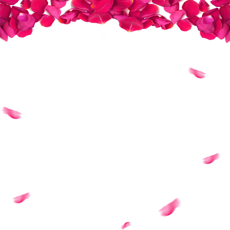 花瓣高清PNG透明漂浮元素设计素材免费下载