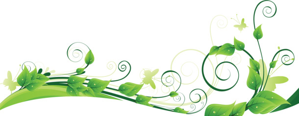 绿意美景树叶装饰高清PNG透明植物设计素材免费下载