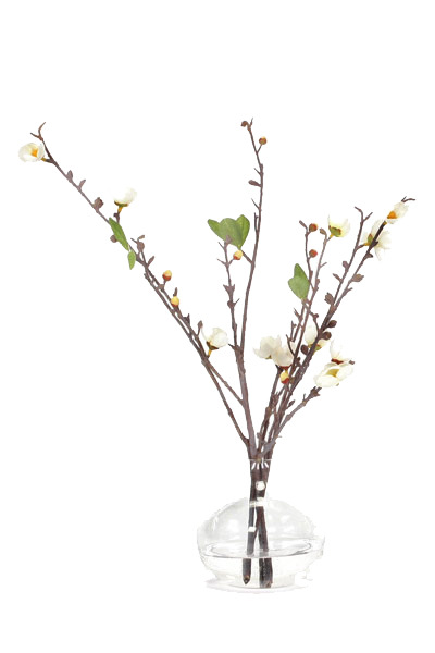 艺术插花花艺高清PNG透明植物装饰元素设计素材免费下载