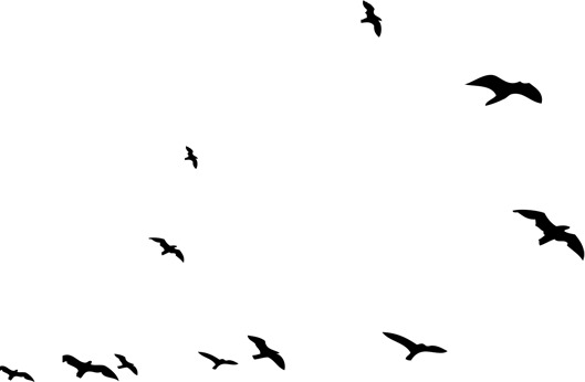 黑色梦想飞鸟高清PNG透明动物装饰元素设计素材免费下载